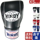 【国内在庫あり 即納】WINDY パンチング グローブ 小学生 キッズ ジュニア XSサイズ ウィンディ ボクシング グローブ 本革 ブランド 正規品 格闘技 ...