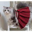 猫コスチューム3色 袴 スカート 和服 和ロリ 着物 かわいい リボン ロリータ Lolita 猫ちゃん ネコ ペット用 和風 無地 大きいサイズ おでかけ イベント