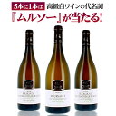 【送料無料】第1弾 50個限定 5本に1本は高級白ワインムルソーが当たる！？ ブルゴーニュワインくじ 白ワイン オートコートドドール ムルソー 750ml 送料無料 贈答用 ギフト ラグシャン 福袋