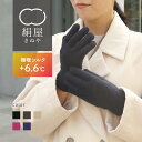 【ラッピング無料】絹屋 発熱するシルク 極暖 シルク 2重編み 手袋 レディース 女性用 アームウォーマー ハンドウォーマー 内側シルク 温活 冷え取り 絹 シ...