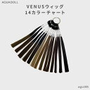 VENUSウィッグ12カラーチャート wgcc005 耐熱 エクステ ウイッグ wig AQUADOLL アクアドール