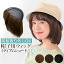 【返品交換OK！送料無料】人毛 部分ウィッグ【25cm】部分ウィッグ 人毛 ウィッグ かつら ポイントウィッグ 白髪かくし つけ毛 トップカバー 女性 レディース つむじ付き 自然 ナチュラル 白髪隠し 白髪カバー セミロング ふんわり 薄毛対策 BAZF710-25