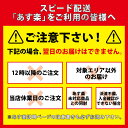 カモフラージュ ライン メンズ アンクル ソックス・靴下【TD】【2点以上ご購入でメール便送料無料】 3