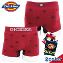 【【残りわずか】【Dickies】DK STAR PAT