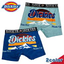 \男性 ギフト 2025/【Dickies】DK Mountain / 80052200 ディッキーズ マウンテン ロゴ メンズ ボクサー パンツ (M・L・X...