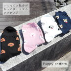 お得な3足SET★いつものお散歩がもっと楽しくなる♪♪ レディース "PUPPY" ミドル ソックス 靴下 socks【TD】 メール便可