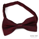 \12周年SALE/フォーマルやカジュアルスタイルにも使える!ペイズリー 蝶ネクタイ / td-bowtie【TD】【4color】【メール便送料無料】