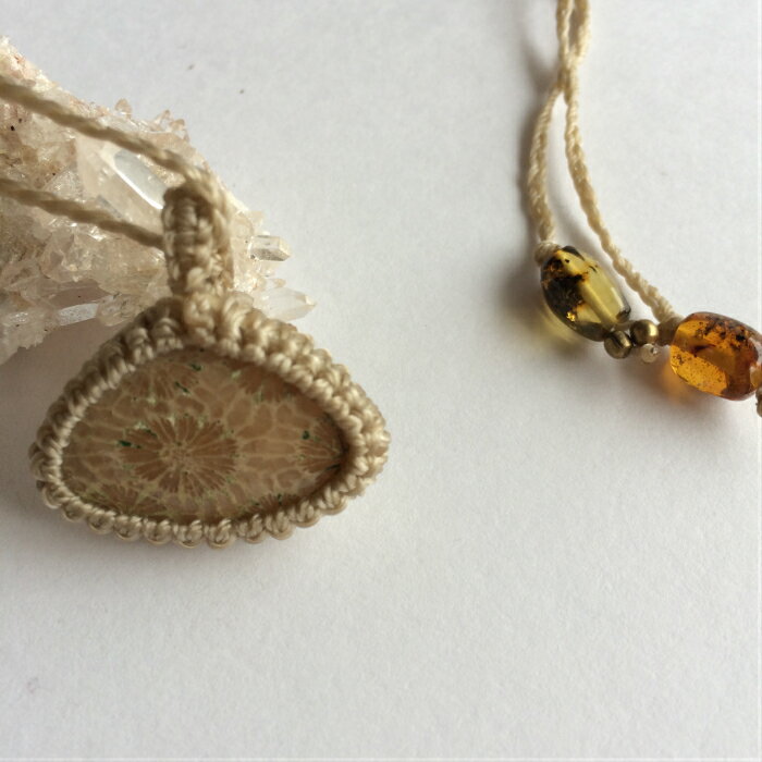 �ե��å��륳�����ڥ����ȡ����ꡡ���С�Fossil��coral������