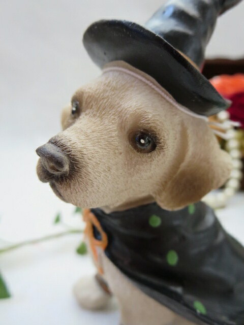 雑貨小物 置物 犬置物 インテリア雑貨 ハロウィン お祝い お誕生日 結婚祝 母の日 お礼 ギフト
