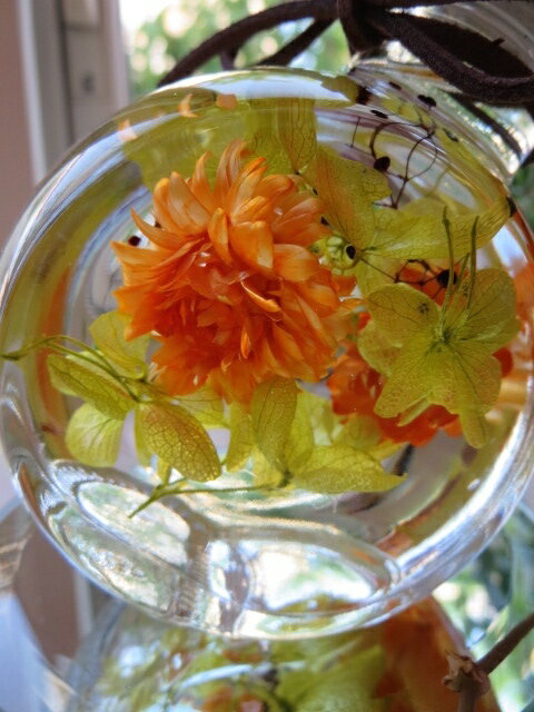 �ϡ��Хꥦ�� ��1000�ߥݥå���ۡڸ���5�ġۥ��饹�ܥȥ�ե饹��������ƥꥢ ���ߡ��Ф�ޤ���ʪ���ץ����եȡ��ӥ��ߥ󥫥顼�����������������