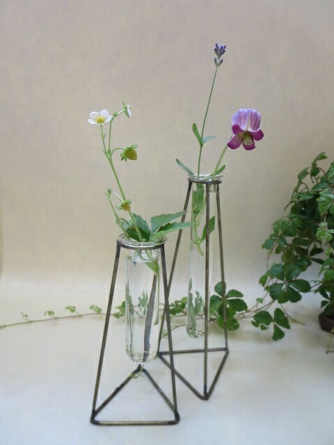 ����ƥꥢ�����ߡ���ɡ����饹�ִ���եȡ�������������������뺧�ˤ�