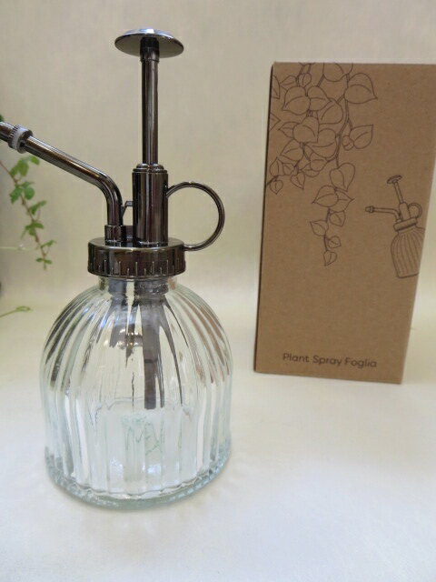 ����ƥꥢ�����ߡ�̸�᤭���ץ��ȥ��ץ졼�����եȡ�������������������뺧�ˤ�