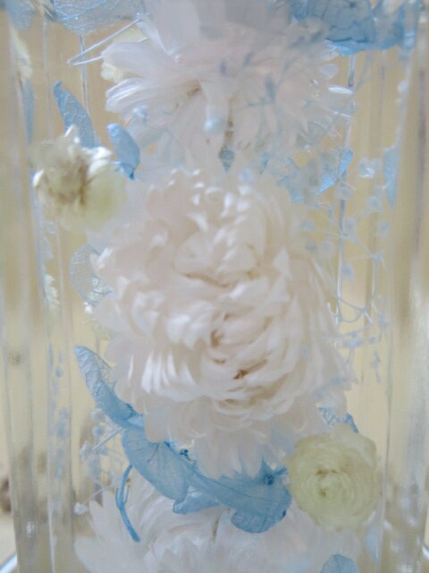 �ڥϡ��Хꥦ��ۥץꥶ���֥ɥե������ӡ����饹������ƥꥢ�����ߡ����եȡ��ץ쥼��ȡ����ˤ��������������뺧�ˤ������顡�������´�ȡ��࿦ ���������ڥå�