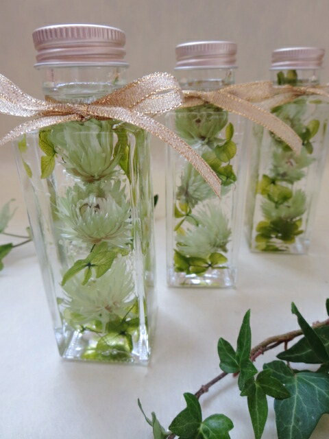 �ڥϡ��Хꥦ��ۥץꥶ���֥ɥե������ӡ����饹������ƥꥢ�����ߡ����եȡ��ץ쥼��ȡ����ˤ��������������뺧�ˤ������顡�������´�ȡ��࿦