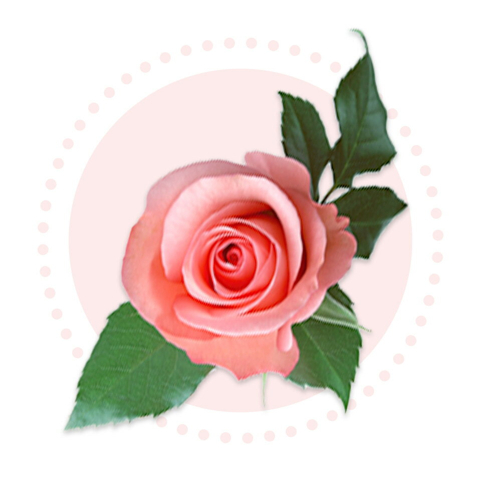 Shop icon
