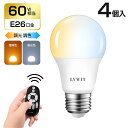 （まとめ） ELPA LED装飾電球 ミニボール球形 E17 G50 電球色 LDG1L-G-E17-G261 【×10セット】 (代引不可)