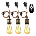 クーポン配布中★ペンダントライト 3灯セット E26口金 LED電球付き 調光調色 4.5W(20W形相当) 遠隔操作 配線ダクトレール用 天井照明 吊り下げ コード付き 昼光色 昼白色 電球色 常夜灯 100cm調節可能 PSE リモコン付き 3年保証 送料無料 LVWIT