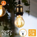 ペンダントライト コード付き 吊り下げライト LED電球付き E26口金 LED 電球 1灯セット フィラメント電球 電球ソケット 照明器具 引掛シーリング用 北欧 天井照明 装飾器具 ダクトレール 100cm調節可能 PSE 3年保証 明るい おしゃれ 送料無料