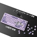 MageGee ゲーミングキーボード | メカニカル キーボード ゲーミング us配列 | テンキーレス キーボード | RGB 有線 USB コンパクトゲーミング用 | ガスケットマウントの打鍵感が素晴らしいコンパクトキーボード 1年保証(2)