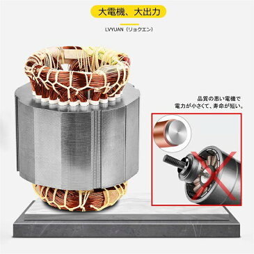 送料無料 高圧洗浄機 高圧洗車機 高圧洗浄器 家庭用 洗車 清掃 大掃除など 2019年最新型 高品質 洗剤タンク付き 水道接続式 AC100V 1500W 10m高圧ホース付 自吸機能付 静音タイプ 省エネルギー 50-60Hz 東西日本兼用 96-S2 LVYUAN