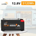 【クーポン価格118998円!4/20限定】【Grade-A電池セル-5年保証】LVYUAN 12.8V 400Ah LiFePO4 リン酸鉄リチウムイオンバッ...