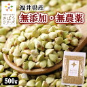 きぼうの そばの実 500g 国産 無農薬 そばのみ 抜き実