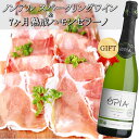 【父の日】ノンアルコールスパークリングワイン&熟成生ハムセット オピア 白 泡750ml+スペイン産ハモンセラーノ7ヶ月 おつまみセット OPIA オーガニック...