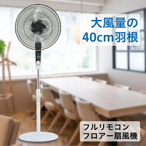 1ǯݾڡ ̵ 40cm ե⥳ ե  緿 ⥳դ ⥳ 礭 ޡդ ꥺ 40cm 󿶤 졼 ե 