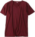 Tシャツ インナーシャツ 半袖 メンズ 肌着 半袖 Vネック 白 ブラック ホワイト 防菌防臭 無地 大きいサイズ