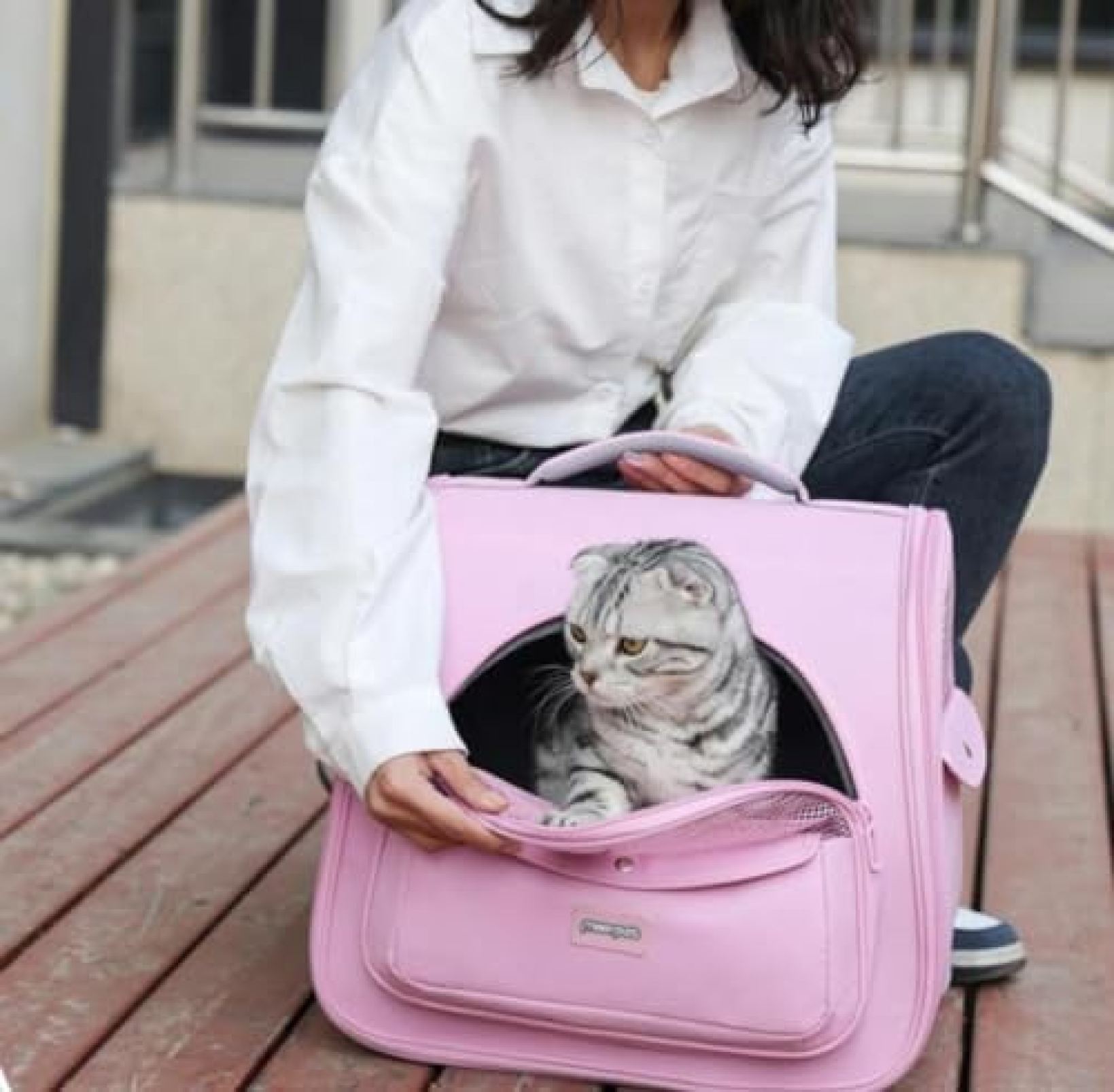 【20%OFFクーポン〜】猫用 キャリーバッグ リュック かわいい ペット キャリーバッ...