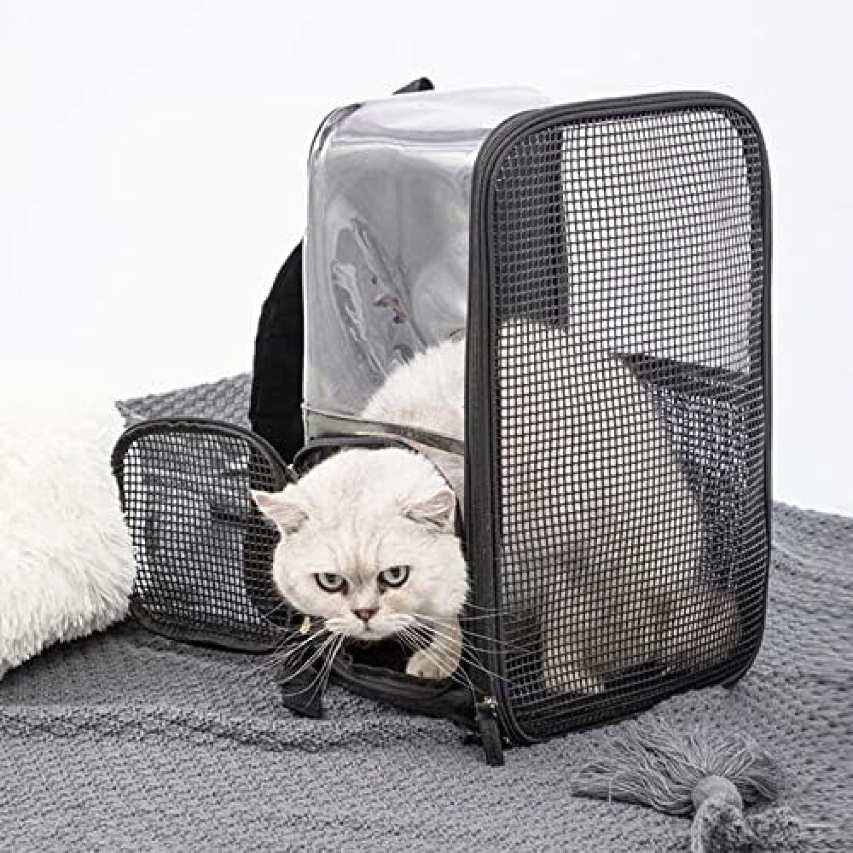 【全店通用25％OFFクーポン】猫リュック 折りたたみペットリュック 猫用 犬用 子猫用