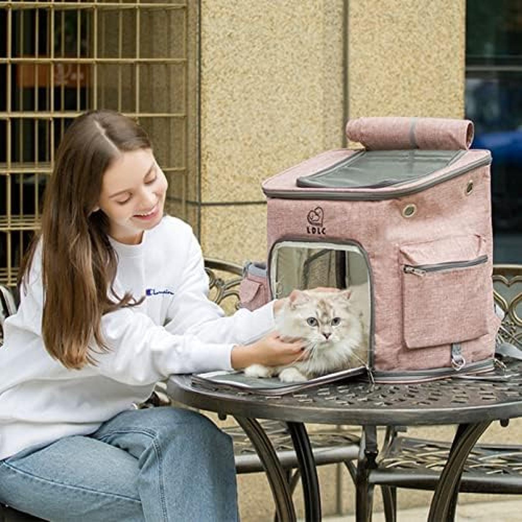 【全店通用25％OFFクーポン】ペットキャリーバッグ　リュック　犬キャリーバッグ　...
