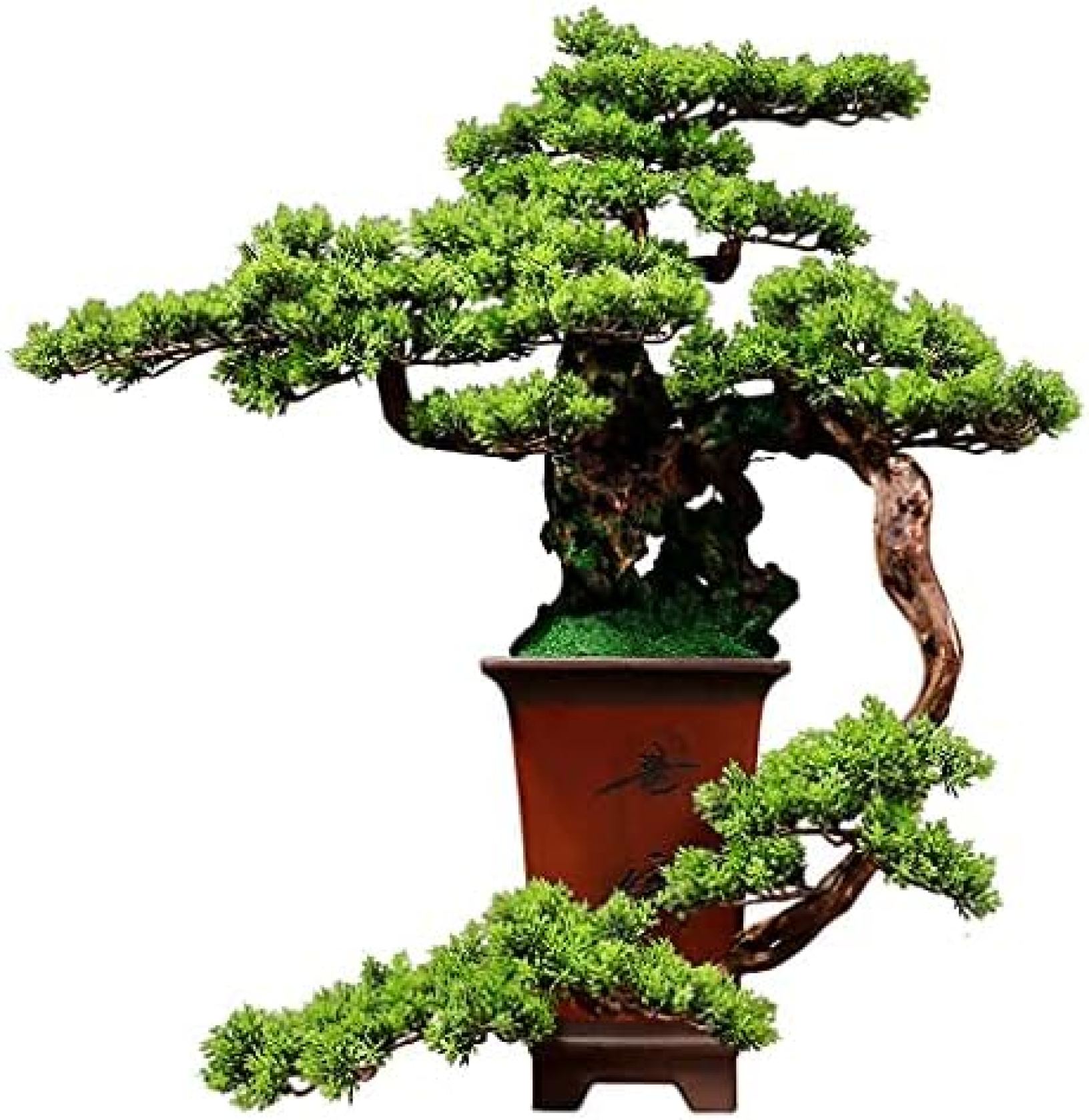 「25％OFFクーポン付き」人工観葉植物 人工ツリー盆栽根彫刻人工葉陶磁器の植木鉢...