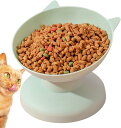 レイズキャットフードボウル - 嘔吐防止ペットフード給水器 子犬の餌と水用の給餌皿、15度の傾斜で猫の背骨を保護 Idoblo