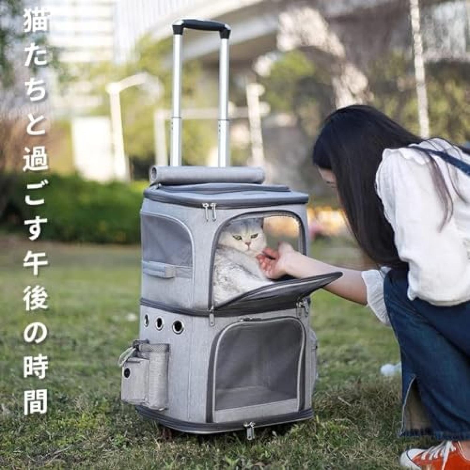 大森麗萱の【20%OFFクーポン〜】新型犬猫キャリーケース リュック キャスター付き 二層トロリーバッグ 折りたたみ可 拡張性 通気性 安定性 2匹用 中小型犬 猫 小動物 21kgまで 大容量 ドライブ 旅行 屋外 災害避難用ペットバ｜アングル3