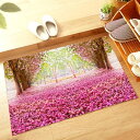 玄関マット室内 100X160cm 屋内 げんかんまっと 北欧 おしゃれ 風水 花 おしゃれドアマット 泥落としマット滑り止め 洗える 耐磨耗性 抗菌防臭 キッ...