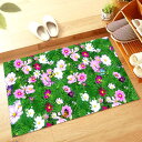 玄関マット 45X70cm 室内 オシャレ 北欧 ドアマット 屋外 泥落としマット 洗える エントランスマット 耐磨耗性 防臭 ラグマット 業務用 カラー お店...