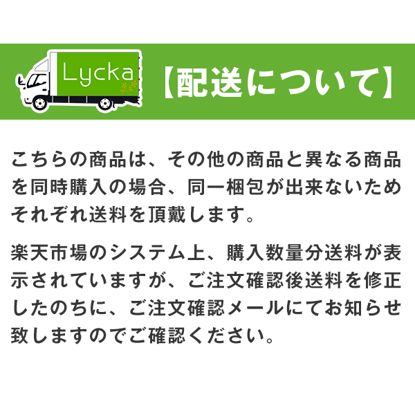 【最大1888円OFFクーポン】8/20 0:00〜8/22 12:59モダンカーテン♪アジアンテイスト 「バンブーカーテン」 サイズ：幅〜310cm×丈〜100cm×1枚