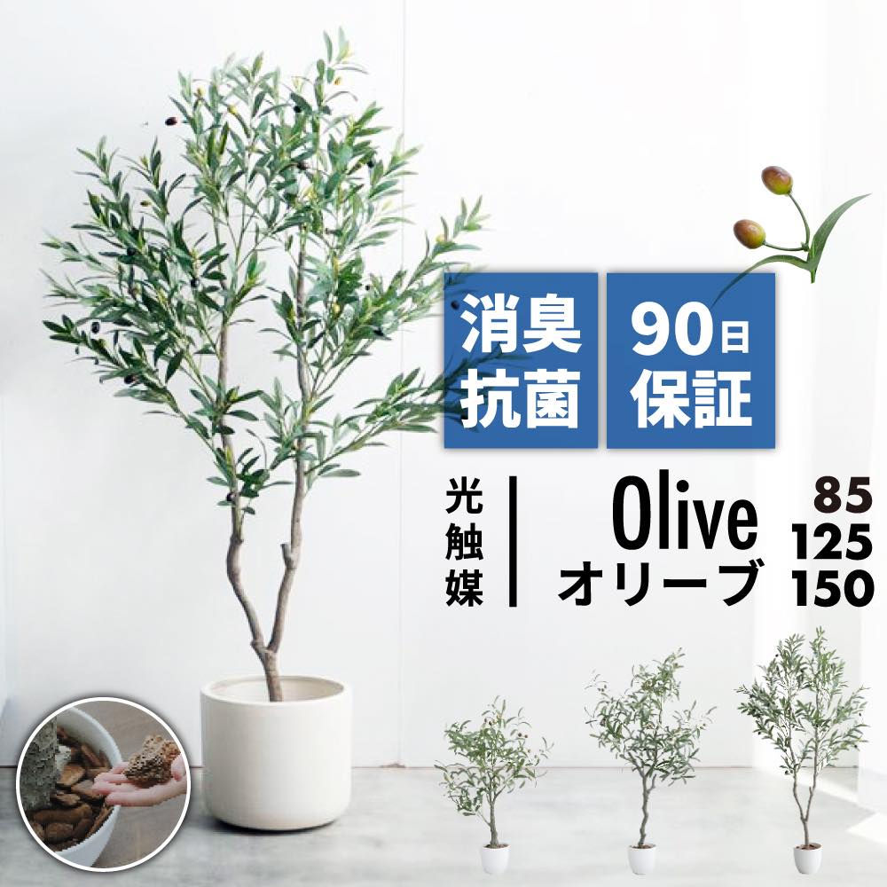 楽天市場】リアル フェイクグリーン(種類(植物)オリーブ)の通販 楽天市場】リアル フェイクグリーン(種類(植物)オリーブ)の通販