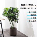 最大P37倍C300円レビュー特典あり フェイクグリーン フェイク 光触媒 カポック 高さ 90 cm 観葉植物 人工植物 5号 鉢付き ポット グリーン 植物...