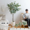 最大P37倍C300円レビュー特典あり フェイクグリーン ユーカリ 大型 光触媒 観葉植物 フェイク 造花 消臭 高さ 85 130 cm リアル おしゃれ 枯...