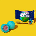 【送料無料】フリーズドライ 地球型グミ 18個入 ブルーベリー味(4)
