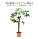 10%offクーポン配布中 観葉植物 フェイク 大型 屋外 木 フェイクグリーン パキラ 朴の木タイプ 幅90cm 高さ150cm インテリア雑貨 グリーン ア...
