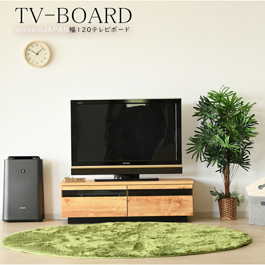 テレビボード 幅120 日本製 完成品 奥45 大川家具 木製 おしゃれ 収納 ローボード テレビ台 モダン 引き出し 国産品
