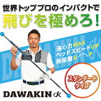 新商品 ダワ筋スティック スタンダードタイプ スイング 練習器　DAWAKIN STICK STANDARD (ターコイズ/グレー) [公式] Lynx リンクス ゴルフ