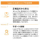 【Lypo-C公式】リポ カプセルビタミン C (11包入) ×1箱　液体リポソーム ビタミンC サプリ 1000mg / 1包あたり　国内製造　お試しサイズ 株式会社スピック　lypo-capusule vitamin 　lypo c　リポシー【送料無料】 3