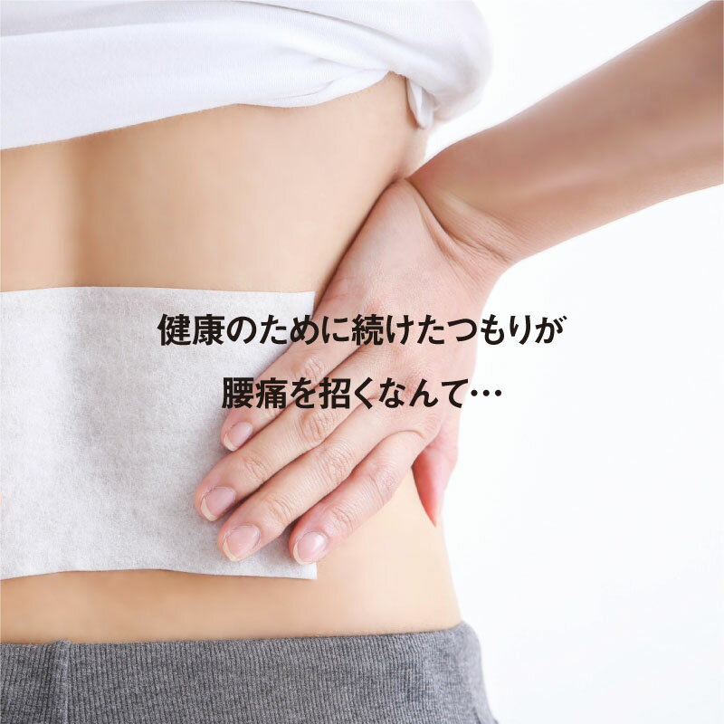 ライシン『腹筋スライダー』