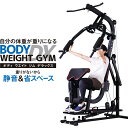 ライシン ホームジム マルチ トレーニング 器具 セット 総合 大型 ワイヤー式 マシン 重りの無い静音設計 BODY WEIGHT GYM DX