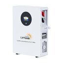 LVYUAN(リョクエン)51.2V 100Ah 5.12kWh LiFePO4 リン酸鉄リチウムイオンバッテリー 家庭用蓄電池 充放電サイクル6000回以上 ...