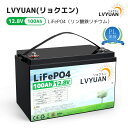 LVYUAN(リョクエン) リン酸鉄リチウムバッテリー12V 100AH 1280Wh 120AのBMS LiFePO4（リン酸鉄リチウム）電池 10年間の耐久性を備え車中泊 RV キャンピングカー ソーラー トローリングモーターに適用